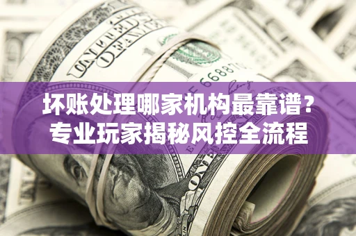 武汉坏账处理哪家机构最靠谱？专业玩家揭秘风控全流程