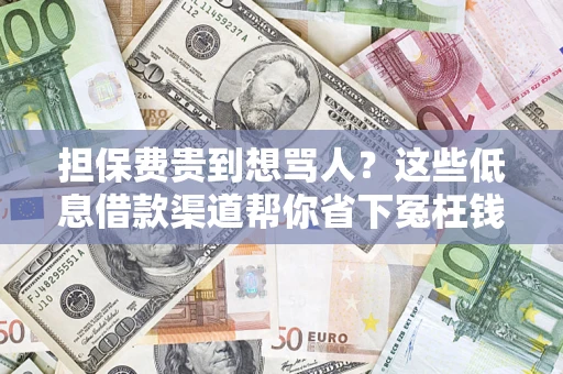 武汉担保费贵到想骂人？这些低息借款渠道帮你省下冤枉钱