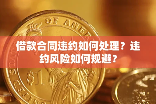 武汉借款合同违约如何处理？违约风险如何规避？