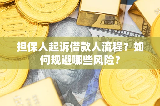 武汉担保人起诉借款人流程？如何规避哪些风险？