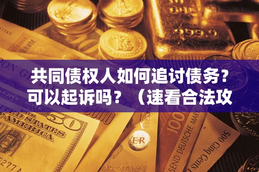 武汉共同债权人如何追讨债务？可以起诉吗？（速看合法攻略）