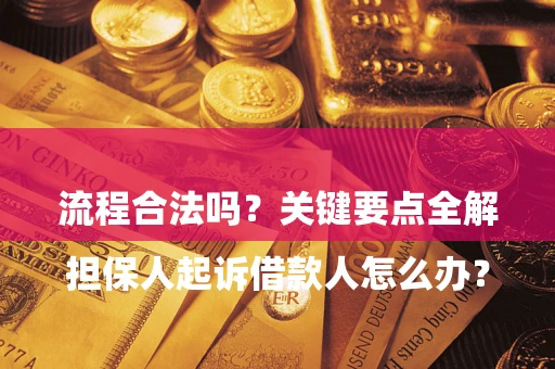 武汉

担保人起诉借款人怎么办？流程合法吗？关键要点全解析