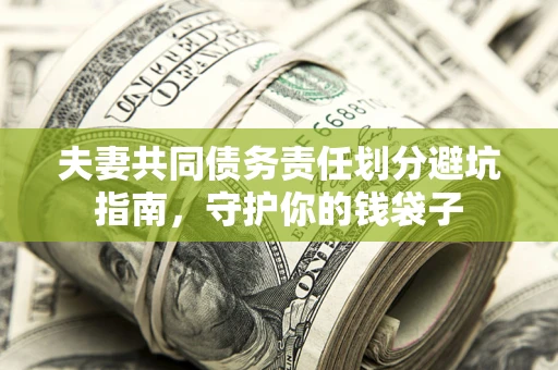 武汉夫妻共同债务责任划分避坑指南，守护你的钱袋子