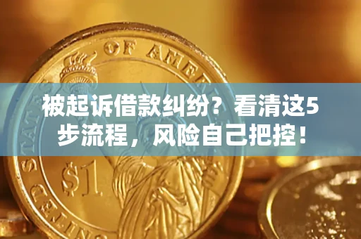 武汉被起诉借款纠纷？看清这5步流程，风险自己把控！