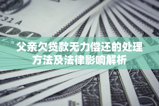 武汉父亲欠贷款无力偿还的处理方法及法律影响解析